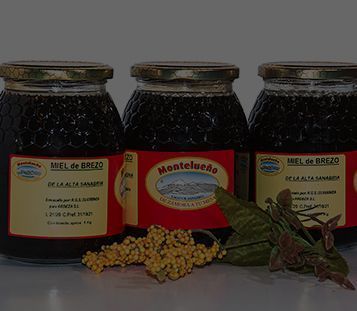 embutidos-ardeza-montelueno-comprar-miel copia